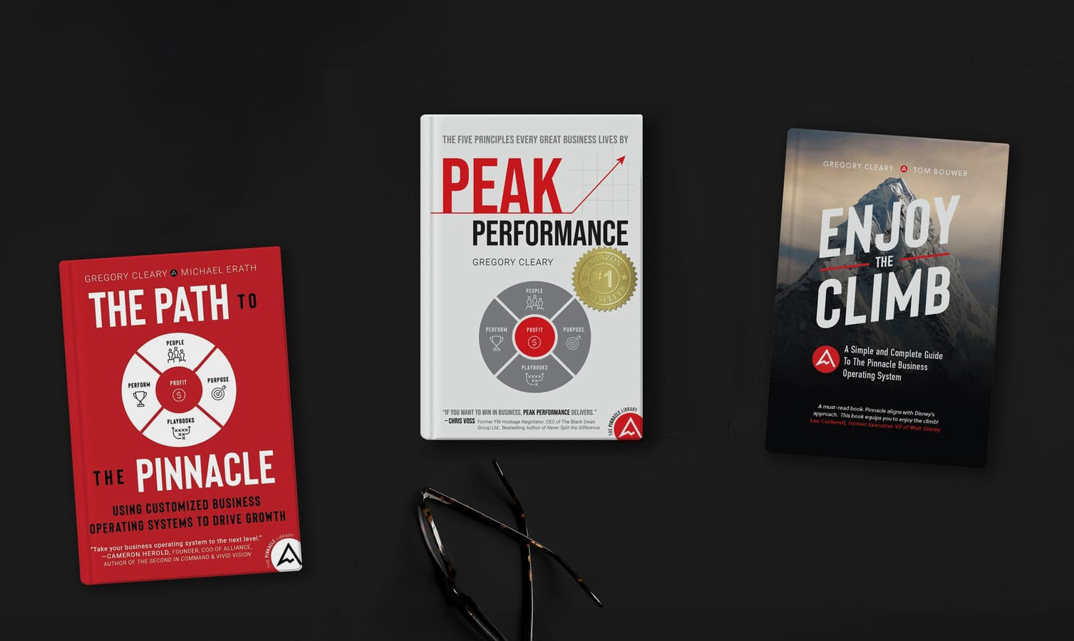 Books of the Pinnacle Library laid out